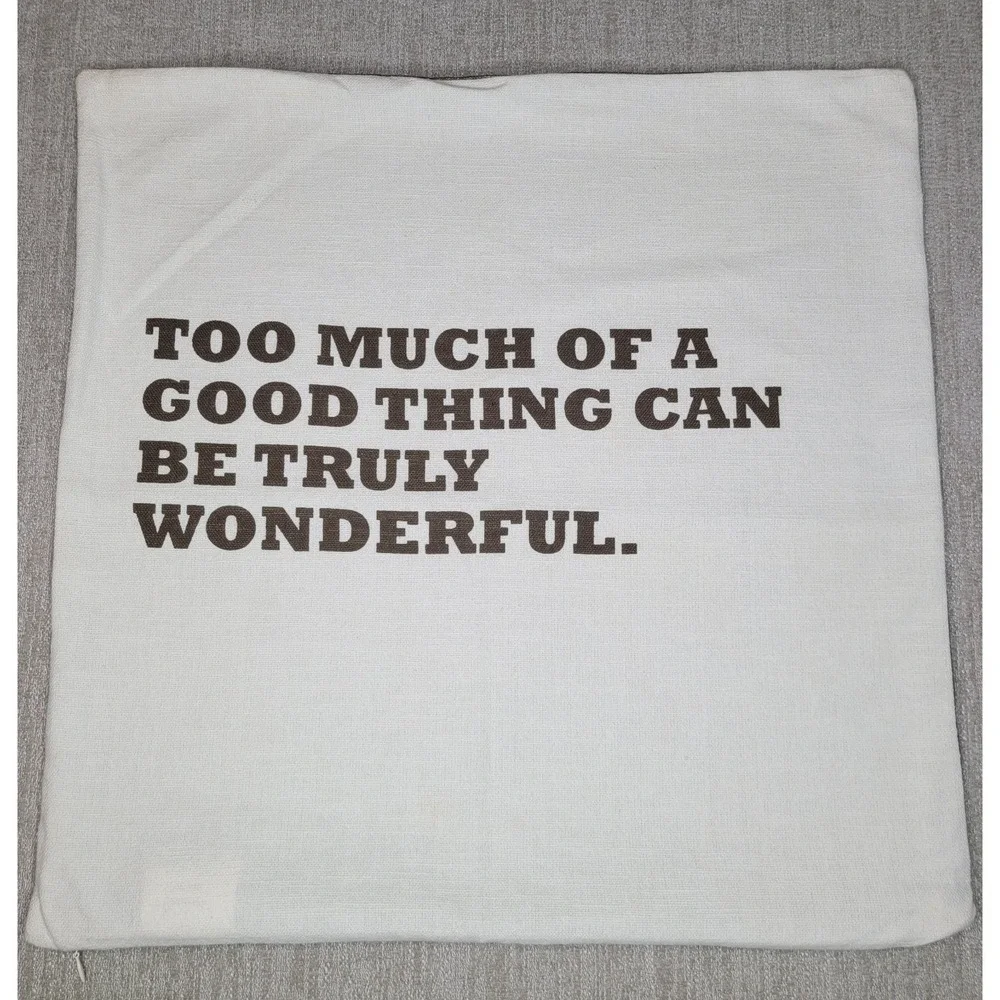 Pottery Barn Too Much of‎ a Good Thing Can Be Truly Wonderful Pillow Cover 20x20